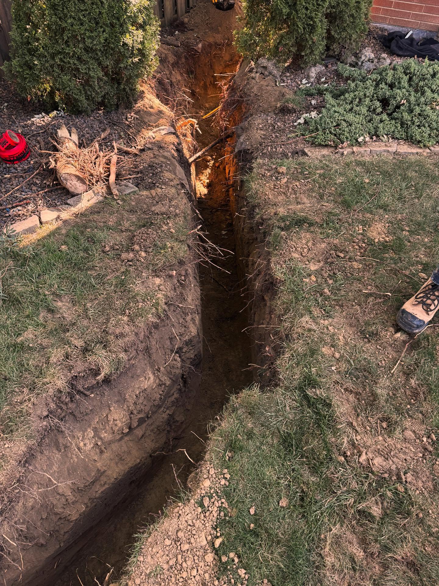 timberex.construction_1758134797_3723827041390196401_75447271738