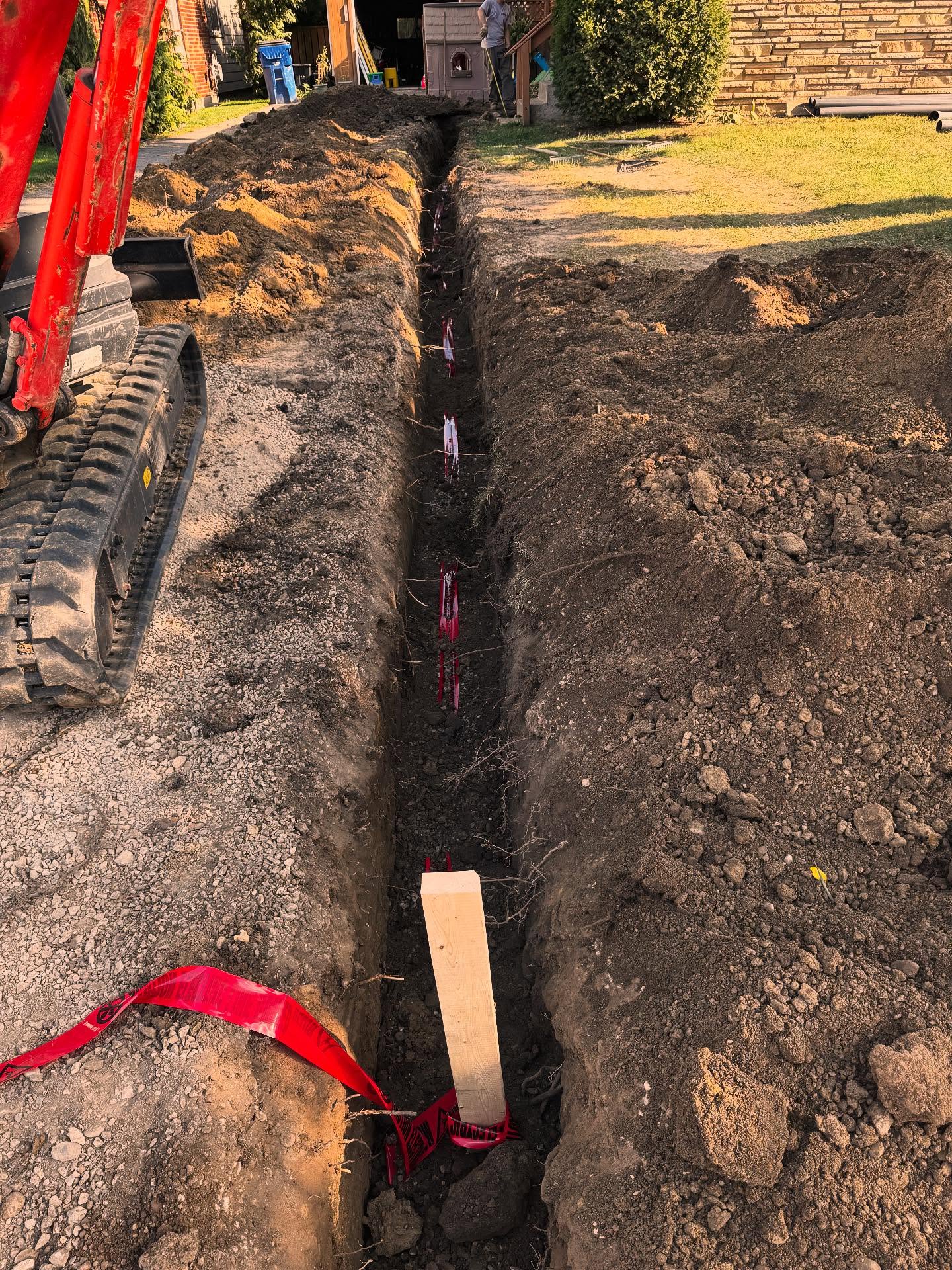 timberex.construction_1758134797_3723827041398559496_75447271738