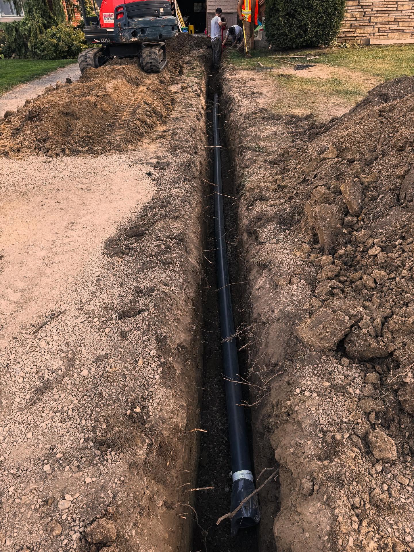 timberex.construction_1758134797_3723827041524397056_75447271738